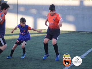 
<a style='margin-left: 5px;' class='btn btn-xs btn-social btn-facebook' href='https://www.facebook.com/sharer/sharer.php?u=https://www.boladovale.com.br/imgs/800-800-90/conteudo/fotos/1900/img4081.jpg' rel='popup' data-width='500' data-height='400'><i class='fa fa-facebook'></i>Compartilhar <span class='hidden-xs'>no Facebook</span>
</a> 
<a class='btn btn-default btn-xs' target='_blank' href='imgs/800-800-90/conteudo/fotos/1900/img4081.jpg'>
<span class='glyphicon glyphicon-cloud-download'></span> Salvar
</a> 
<span></span>