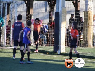 
<a style='margin-left: 5px;' class='btn btn-xs btn-social btn-facebook' href='https://www.facebook.com/sharer/sharer.php?u=https://www.boladovale.com.br/imgs/800-800-90/conteudo/fotos/1900/img4093.jpg' rel='popup' data-width='500' data-height='400'><i class='fa fa-facebook'></i>Compartilhar <span class='hidden-xs'>no Facebook</span>
</a> 
<a class='btn btn-default btn-xs' target='_blank' href='imgs/800-800-90/conteudo/fotos/1900/img4093.jpg'>
<span class='glyphicon glyphicon-cloud-download'></span> Salvar
</a> 
<span></span>