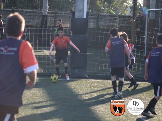 
<a style='margin-left: 5px;' class='btn btn-xs btn-social btn-facebook' href='https://www.facebook.com/sharer/sharer.php?u=https://www.boladovale.com.br/imgs/800-800-90/conteudo/fotos/1900/img4100.jpg' rel='popup' data-width='500' data-height='400'><i class='fa fa-facebook'></i>Compartilhar <span class='hidden-xs'>no Facebook</span>
</a> 
<a class='btn btn-default btn-xs' target='_blank' href='imgs/800-800-90/conteudo/fotos/1900/img4100.jpg'>
<span class='glyphicon glyphicon-cloud-download'></span> Salvar
</a> 
<span></span>