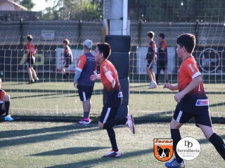 
<a style='margin-left: 5px;' class='btn btn-xs btn-social btn-facebook' href='https://www.facebook.com/sharer/sharer.php?u=https://www.boladovale.com.br/imgs/800-800-90/conteudo/fotos/1900/img4102.jpg' rel='popup' data-width='500' data-height='400'><i class='fa fa-facebook'></i>Compartilhar <span class='hidden-xs'>no Facebook</span>
</a> 
<a class='btn btn-default btn-xs' target='_blank' href='imgs/800-800-90/conteudo/fotos/1900/img4102.jpg'>
<span class='glyphicon glyphicon-cloud-download'></span> Salvar
</a> 
<span></span>