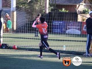 
<a style='margin-left: 5px;' class='btn btn-xs btn-social btn-facebook' href='https://www.facebook.com/sharer/sharer.php?u=https://www.boladovale.com.br/imgs/800-800-90/conteudo/fotos/1900/img4107.jpg' rel='popup' data-width='500' data-height='400'><i class='fa fa-facebook'></i>Compartilhar <span class='hidden-xs'>no Facebook</span>
</a> 
<a class='btn btn-default btn-xs' target='_blank' href='imgs/800-800-90/conteudo/fotos/1900/img4107.jpg'>
<span class='glyphicon glyphicon-cloud-download'></span> Salvar
</a> 
<span></span>