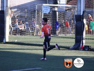 
<a style='margin-left: 5px;' class='btn btn-xs btn-social btn-facebook' href='https://www.facebook.com/sharer/sharer.php?u=https://www.boladovale.com.br/imgs/800-800-90/conteudo/fotos/1900/img4109.jpg' rel='popup' data-width='500' data-height='400'><i class='fa fa-facebook'></i>Compartilhar <span class='hidden-xs'>no Facebook</span>
</a> 
<a class='btn btn-default btn-xs' target='_blank' href='imgs/800-800-90/conteudo/fotos/1900/img4109.jpg'>
<span class='glyphicon glyphicon-cloud-download'></span> Salvar
</a> 
<span></span>