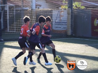 
<a style='margin-left: 5px;' class='btn btn-xs btn-social btn-facebook' href='https://www.facebook.com/sharer/sharer.php?u=https://www.boladovale.com.br/imgs/800-800-90/conteudo/fotos/1900/img4122.jpg' rel='popup' data-width='500' data-height='400'><i class='fa fa-facebook'></i>Compartilhar <span class='hidden-xs'>no Facebook</span>
</a> 
<a class='btn btn-default btn-xs' target='_blank' href='imgs/800-800-90/conteudo/fotos/1900/img4122.jpg'>
<span class='glyphicon glyphicon-cloud-download'></span> Salvar
</a> 
<span></span>