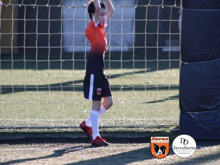 
<a style='margin-left: 5px;' class='btn btn-xs btn-social btn-facebook' href='https://www.facebook.com/sharer/sharer.php?u=https://www.boladovale.com.br/imgs/800-800-90/conteudo/fotos/1900/img4127.jpg' rel='popup' data-width='500' data-height='400'><i class='fa fa-facebook'></i>Compartilhar <span class='hidden-xs'>no Facebook</span>
</a> 
<a class='btn btn-default btn-xs' target='_blank' href='imgs/800-800-90/conteudo/fotos/1900/img4127.jpg'>
<span class='glyphicon glyphicon-cloud-download'></span> Salvar
</a> 
<span></span>