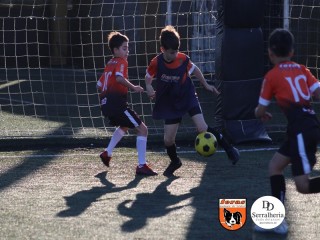 
<a style='margin-left: 5px;' class='btn btn-xs btn-social btn-facebook' href='https://www.facebook.com/sharer/sharer.php?u=https://www.boladovale.com.br/imgs/800-800-90/conteudo/fotos/1900/img4131.jpg' rel='popup' data-width='500' data-height='400'><i class='fa fa-facebook'></i>Compartilhar <span class='hidden-xs'>no Facebook</span>
</a> 
<a class='btn btn-default btn-xs' target='_blank' href='imgs/800-800-90/conteudo/fotos/1900/img4131.jpg'>
<span class='glyphicon glyphicon-cloud-download'></span> Salvar
</a> 
<span></span>