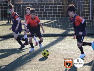 
<a style='margin-left: 5px;' class='btn btn-xs btn-social btn-facebook' href='https://www.facebook.com/sharer/sharer.php?u=https://www.boladovale.com.br/imgs/800-800-90/conteudo/fotos/1900/img4132.jpg' rel='popup' data-width='500' data-height='400'><i class='fa fa-facebook'></i>Compartilhar <span class='hidden-xs'>no Facebook</span>
</a> 
<a class='btn btn-default btn-xs' target='_blank' href='imgs/800-800-90/conteudo/fotos/1900/img4132.jpg'>
<span class='glyphicon glyphicon-cloud-download'></span> Salvar
</a> 
<span></span>