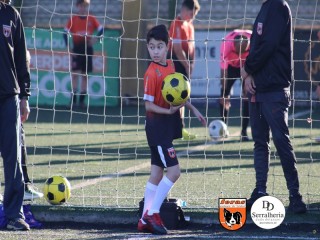 
<a style='margin-left: 5px;' class='btn btn-xs btn-social btn-facebook' href='https://www.facebook.com/sharer/sharer.php?u=https://www.boladovale.com.br/imgs/800-800-90/conteudo/fotos/1900/img4138.jpg' rel='popup' data-width='500' data-height='400'><i class='fa fa-facebook'></i>Compartilhar <span class='hidden-xs'>no Facebook</span>
</a> 
<a class='btn btn-default btn-xs' target='_blank' href='imgs/800-800-90/conteudo/fotos/1900/img4138.jpg'>
<span class='glyphicon glyphicon-cloud-download'></span> Salvar
</a> 
<span></span>