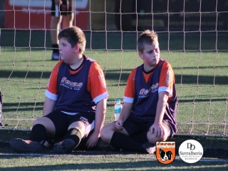 
<a style='margin-left: 5px;' class='btn btn-xs btn-social btn-facebook' href='https://www.facebook.com/sharer/sharer.php?u=https://www.boladovale.com.br/imgs/800-800-90/conteudo/fotos/1900/img4144.jpg' rel='popup' data-width='500' data-height='400'><i class='fa fa-facebook'></i>Compartilhar <span class='hidden-xs'>no Facebook</span>
</a> 
<a class='btn btn-default btn-xs' target='_blank' href='imgs/800-800-90/conteudo/fotos/1900/img4144.jpg'>
<span class='glyphicon glyphicon-cloud-download'></span> Salvar
</a> 
<span></span>