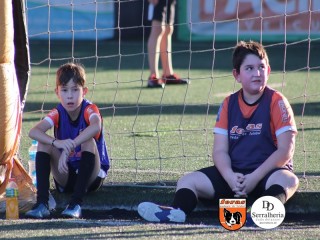 
<a style='margin-left: 5px;' class='btn btn-xs btn-social btn-facebook' href='https://www.facebook.com/sharer/sharer.php?u=https://www.boladovale.com.br/imgs/800-800-90/conteudo/fotos/1900/img4145.jpg' rel='popup' data-width='500' data-height='400'><i class='fa fa-facebook'></i>Compartilhar <span class='hidden-xs'>no Facebook</span>
</a> 
<a class='btn btn-default btn-xs' target='_blank' href='imgs/800-800-90/conteudo/fotos/1900/img4145.jpg'>
<span class='glyphicon glyphicon-cloud-download'></span> Salvar
</a> 
<span></span>