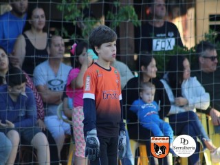 
<a style='margin-left: 5px;' class='btn btn-xs btn-social btn-facebook' href='https://www.facebook.com/sharer/sharer.php?u=https://www.boladovale.com.br/imgs/800-800-90/conteudo/fotos/1900/img4148.jpg' rel='popup' data-width='500' data-height='400'><i class='fa fa-facebook'></i>Compartilhar <span class='hidden-xs'>no Facebook</span>
</a> 
<a class='btn btn-default btn-xs' target='_blank' href='imgs/800-800-90/conteudo/fotos/1900/img4148.jpg'>
<span class='glyphicon glyphicon-cloud-download'></span> Salvar
</a> 
<span></span>