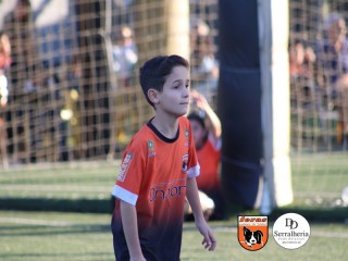 
<a style='margin-left: 5px;' class='btn btn-xs btn-social btn-facebook' href='https://www.facebook.com/sharer/sharer.php?u=https://www.boladovale.com.br/imgs/800-800-90/conteudo/fotos/1900/img4153.jpg' rel='popup' data-width='500' data-height='400'><i class='fa fa-facebook'></i>Compartilhar <span class='hidden-xs'>no Facebook</span>
</a> 
<a class='btn btn-default btn-xs' target='_blank' href='imgs/800-800-90/conteudo/fotos/1900/img4153.jpg'>
<span class='glyphicon glyphicon-cloud-download'></span> Salvar
</a> 
<span></span>