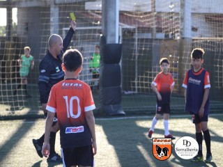 
<a style='margin-left: 5px;' class='btn btn-xs btn-social btn-facebook' href='https://www.facebook.com/sharer/sharer.php?u=https://www.boladovale.com.br/imgs/800-800-90/conteudo/fotos/1900/img4157.jpg' rel='popup' data-width='500' data-height='400'><i class='fa fa-facebook'></i>Compartilhar <span class='hidden-xs'>no Facebook</span>
</a> 
<a class='btn btn-default btn-xs' target='_blank' href='imgs/800-800-90/conteudo/fotos/1900/img4157.jpg'>
<span class='glyphicon glyphicon-cloud-download'></span> Salvar
</a> 
<span></span>