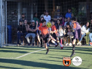 
<a style='margin-left: 5px;' class='btn btn-xs btn-social btn-facebook' href='https://www.facebook.com/sharer/sharer.php?u=https://www.boladovale.com.br/imgs/800-800-90/conteudo/fotos/1900/img4175.jpg' rel='popup' data-width='500' data-height='400'><i class='fa fa-facebook'></i>Compartilhar <span class='hidden-xs'>no Facebook</span>
</a> 
<a class='btn btn-default btn-xs' target='_blank' href='imgs/800-800-90/conteudo/fotos/1900/img4175.jpg'>
<span class='glyphicon glyphicon-cloud-download'></span> Salvar
</a> 
<span></span>