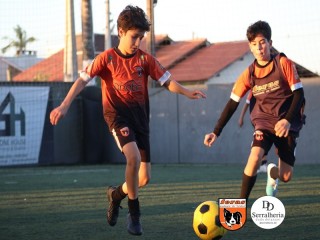 
<a style='margin-left: 5px;' class='btn btn-xs btn-social btn-facebook' href='https://www.facebook.com/sharer/sharer.php?u=https://www.boladovale.com.br/imgs/800-800-90/conteudo/fotos/1900/img4299.jpg' rel='popup' data-width='500' data-height='400'><i class='fa fa-facebook'></i>Compartilhar <span class='hidden-xs'>no Facebook</span>
</a> 
<a class='btn btn-default btn-xs' target='_blank' href='imgs/800-800-90/conteudo/fotos/1900/img4299.jpg'>
<span class='glyphicon glyphicon-cloud-download'></span> Salvar
</a> 
<span></span>