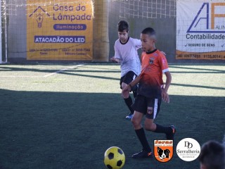 
<a style='margin-left: 5px;' class='btn btn-xs btn-social btn-facebook' href='https://www.facebook.com/sharer/sharer.php?u=https://www.boladovale.com.br/imgs/800-800-90/conteudo/fotos/1901/img3733.jpg' rel='popup' data-width='500' data-height='400'><i class='fa fa-facebook'></i>Compartilhar <span class='hidden-xs'>no Facebook</span>
</a> 
<a class='btn btn-default btn-xs' target='_blank' href='imgs/800-800-90/conteudo/fotos/1901/img3733.jpg'>
<span class='glyphicon glyphicon-cloud-download'></span> Salvar
</a> 
<span></span>