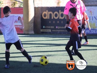 
<a style='margin-left: 5px;' class='btn btn-xs btn-social btn-facebook' href='https://www.facebook.com/sharer/sharer.php?u=https://www.boladovale.com.br/imgs/800-800-90/conteudo/fotos/1901/img3735.jpg' rel='popup' data-width='500' data-height='400'><i class='fa fa-facebook'></i>Compartilhar <span class='hidden-xs'>no Facebook</span>
</a> 
<a class='btn btn-default btn-xs' target='_blank' href='imgs/800-800-90/conteudo/fotos/1901/img3735.jpg'>
<span class='glyphicon glyphicon-cloud-download'></span> Salvar
</a> 
<span></span>