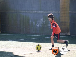 
<a style='margin-left: 5px;' class='btn btn-xs btn-social btn-facebook' href='https://www.facebook.com/sharer/sharer.php?u=https://www.boladovale.com.br/imgs/800-800-90/conteudo/fotos/1901/img3740.jpg' rel='popup' data-width='500' data-height='400'><i class='fa fa-facebook'></i>Compartilhar <span class='hidden-xs'>no Facebook</span>
</a> 
<a class='btn btn-default btn-xs' target='_blank' href='imgs/800-800-90/conteudo/fotos/1901/img3740.jpg'>
<span class='glyphicon glyphicon-cloud-download'></span> Salvar
</a> 
<span></span>