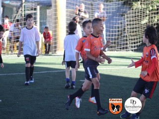 
<a style='margin-left: 5px;' class='btn btn-xs btn-social btn-facebook' href='https://www.facebook.com/sharer/sharer.php?u=https://www.boladovale.com.br/imgs/800-800-90/conteudo/fotos/1901/img3745.jpg' rel='popup' data-width='500' data-height='400'><i class='fa fa-facebook'></i>Compartilhar <span class='hidden-xs'>no Facebook</span>
</a> 
<a class='btn btn-default btn-xs' target='_blank' href='imgs/800-800-90/conteudo/fotos/1901/img3745.jpg'>
<span class='glyphicon glyphicon-cloud-download'></span> Salvar
</a> 
<span></span>