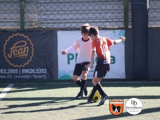 
<a style='margin-left: 5px;' class='btn btn-xs btn-social btn-facebook' href='https://www.facebook.com/sharer/sharer.php?u=https://www.boladovale.com.br/imgs/800-800-90/conteudo/fotos/1901/img3759.jpg' rel='popup' data-width='500' data-height='400'><i class='fa fa-facebook'></i>Compartilhar <span class='hidden-xs'>no Facebook</span>
</a> 
<a class='btn btn-default btn-xs' target='_blank' href='imgs/800-800-90/conteudo/fotos/1901/img3759.jpg'>
<span class='glyphicon glyphicon-cloud-download'></span> Salvar
</a> 
<span></span>