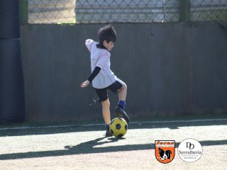 
<a style='margin-left: 5px;' class='btn btn-xs btn-social btn-facebook' href='https://www.facebook.com/sharer/sharer.php?u=https://www.boladovale.com.br/imgs/800-800-90/conteudo/fotos/1901/img3767.jpg' rel='popup' data-width='500' data-height='400'><i class='fa fa-facebook'></i>Compartilhar <span class='hidden-xs'>no Facebook</span>
</a> 
<a class='btn btn-default btn-xs' target='_blank' href='imgs/800-800-90/conteudo/fotos/1901/img3767.jpg'>
<span class='glyphicon glyphicon-cloud-download'></span> Salvar
</a> 
<span></span>
