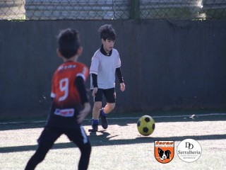 
<a style='margin-left: 5px;' class='btn btn-xs btn-social btn-facebook' href='https://www.facebook.com/sharer/sharer.php?u=https://www.boladovale.com.br/imgs/800-800-90/conteudo/fotos/1901/img3768.jpg' rel='popup' data-width='500' data-height='400'><i class='fa fa-facebook'></i>Compartilhar <span class='hidden-xs'>no Facebook</span>
</a> 
<a class='btn btn-default btn-xs' target='_blank' href='imgs/800-800-90/conteudo/fotos/1901/img3768.jpg'>
<span class='glyphicon glyphicon-cloud-download'></span> Salvar
</a> 
<span></span>