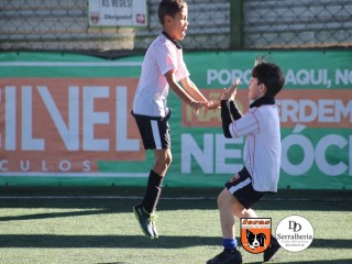 
<a style='margin-left: 5px;' class='btn btn-xs btn-social btn-facebook' href='https://www.facebook.com/sharer/sharer.php?u=https://www.boladovale.com.br/imgs/800-800-90/conteudo/fotos/1901/img3773.jpg' rel='popup' data-width='500' data-height='400'><i class='fa fa-facebook'></i>Compartilhar <span class='hidden-xs'>no Facebook</span>
</a> 
<a class='btn btn-default btn-xs' target='_blank' href='imgs/800-800-90/conteudo/fotos/1901/img3773.jpg'>
<span class='glyphicon glyphicon-cloud-download'></span> Salvar
</a> 
<span></span>