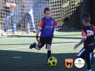 
<a style='margin-left: 5px;' class='btn btn-xs btn-social btn-facebook' href='https://www.facebook.com/sharer/sharer.php?u=https://www.boladovale.com.br/imgs/800-800-90/conteudo/fotos/1901/img3777.jpg' rel='popup' data-width='500' data-height='400'><i class='fa fa-facebook'></i>Compartilhar <span class='hidden-xs'>no Facebook</span>
</a> 
<a class='btn btn-default btn-xs' target='_blank' href='imgs/800-800-90/conteudo/fotos/1901/img3777.jpg'>
<span class='glyphicon glyphicon-cloud-download'></span> Salvar
</a> 
<span></span>