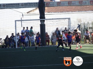 
<a style='margin-left: 5px;' class='btn btn-xs btn-social btn-facebook' href='https://www.facebook.com/sharer/sharer.php?u=https://www.boladovale.com.br/imgs/800-800-90/conteudo/fotos/1901/img3778.jpg' rel='popup' data-width='500' data-height='400'><i class='fa fa-facebook'></i>Compartilhar <span class='hidden-xs'>no Facebook</span>
</a> 
<a class='btn btn-default btn-xs' target='_blank' href='imgs/800-800-90/conteudo/fotos/1901/img3778.jpg'>
<span class='glyphicon glyphicon-cloud-download'></span> Salvar
</a> 
<span></span>