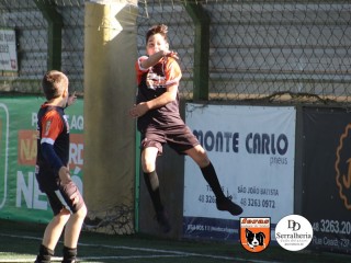 
<a style='margin-left: 5px;' class='btn btn-xs btn-social btn-facebook' href='https://www.facebook.com/sharer/sharer.php?u=https://www.boladovale.com.br/imgs/800-800-90/conteudo/fotos/1901/img3795.jpg' rel='popup' data-width='500' data-height='400'><i class='fa fa-facebook'></i>Compartilhar <span class='hidden-xs'>no Facebook</span>
</a> 
<a class='btn btn-default btn-xs' target='_blank' href='imgs/800-800-90/conteudo/fotos/1901/img3795.jpg'>
<span class='glyphicon glyphicon-cloud-download'></span> Salvar
</a> 
<span></span>