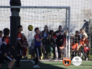 
<a style='margin-left: 5px;' class='btn btn-xs btn-social btn-facebook' href='https://www.facebook.com/sharer/sharer.php?u=https://www.boladovale.com.br/imgs/800-800-90/conteudo/fotos/1901/img3802.jpg' rel='popup' data-width='500' data-height='400'><i class='fa fa-facebook'></i>Compartilhar <span class='hidden-xs'>no Facebook</span>
</a> 
<a class='btn btn-default btn-xs' target='_blank' href='imgs/800-800-90/conteudo/fotos/1901/img3802.jpg'>
<span class='glyphicon glyphicon-cloud-download'></span> Salvar
</a> 
<span></span>