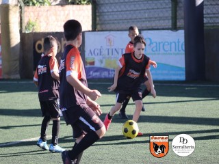 
<a style='margin-left: 5px;' class='btn btn-xs btn-social btn-facebook' href='https://www.facebook.com/sharer/sharer.php?u=https://www.boladovale.com.br/imgs/800-800-90/conteudo/fotos/1901/img3986.jpg' rel='popup' data-width='500' data-height='400'><i class='fa fa-facebook'></i>Compartilhar <span class='hidden-xs'>no Facebook</span>
</a> 
<a class='btn btn-default btn-xs' target='_blank' href='imgs/800-800-90/conteudo/fotos/1901/img3986.jpg'>
<span class='glyphicon glyphicon-cloud-download'></span> Salvar
</a> 
<span></span>