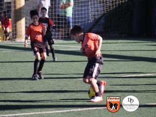 
<a style='margin-left: 5px;' class='btn btn-xs btn-social btn-facebook' href='https://www.facebook.com/sharer/sharer.php?u=https://www.boladovale.com.br/imgs/800-800-90/conteudo/fotos/1901/img3993.jpg' rel='popup' data-width='500' data-height='400'><i class='fa fa-facebook'></i>Compartilhar <span class='hidden-xs'>no Facebook</span>
</a> 
<a class='btn btn-default btn-xs' target='_blank' href='imgs/800-800-90/conteudo/fotos/1901/img3993.jpg'>
<span class='glyphicon glyphicon-cloud-download'></span> Salvar
</a> 
<span></span>