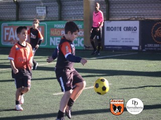 
<a style='margin-left: 5px;' class='btn btn-xs btn-social btn-facebook' href='https://www.facebook.com/sharer/sharer.php?u=https://www.boladovale.com.br/imgs/800-800-90/conteudo/fotos/1901/img3998.jpg' rel='popup' data-width='500' data-height='400'><i class='fa fa-facebook'></i>Compartilhar <span class='hidden-xs'>no Facebook</span>
</a> 
<a class='btn btn-default btn-xs' target='_blank' href='imgs/800-800-90/conteudo/fotos/1901/img3998.jpg'>
<span class='glyphicon glyphicon-cloud-download'></span> Salvar
</a> 
<span></span>