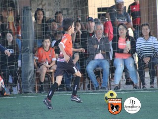 
<a style='margin-left: 5px;' class='btn btn-xs btn-social btn-facebook' href='https://www.facebook.com/sharer/sharer.php?u=https://www.boladovale.com.br/imgs/800-800-90/conteudo/fotos/1901/img4003.jpg' rel='popup' data-width='500' data-height='400'><i class='fa fa-facebook'></i>Compartilhar <span class='hidden-xs'>no Facebook</span>
</a> 
<a class='btn btn-default btn-xs' target='_blank' href='imgs/800-800-90/conteudo/fotos/1901/img4003.jpg'>
<span class='glyphicon glyphicon-cloud-download'></span> Salvar
</a> 
<span></span>