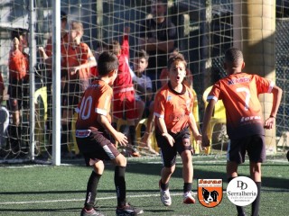 
<a style='margin-left: 5px;' class='btn btn-xs btn-social btn-facebook' href='https://www.facebook.com/sharer/sharer.php?u=https://www.boladovale.com.br/imgs/800-800-90/conteudo/fotos/1901/img4012.jpg' rel='popup' data-width='500' data-height='400'><i class='fa fa-facebook'></i>Compartilhar <span class='hidden-xs'>no Facebook</span>
</a> 
<a class='btn btn-default btn-xs' target='_blank' href='imgs/800-800-90/conteudo/fotos/1901/img4012.jpg'>
<span class='glyphicon glyphicon-cloud-download'></span> Salvar
</a> 
<span></span>