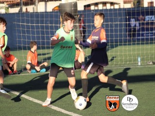 
<a style='margin-left: 5px;' class='btn btn-xs btn-social btn-facebook' href='https://www.facebook.com/sharer/sharer.php?u=https://www.boladovale.com.br/imgs/800-800-90/conteudo/fotos/1901/img4192.jpg' rel='popup' data-width='500' data-height='400'><i class='fa fa-facebook'></i>Compartilhar <span class='hidden-xs'>no Facebook</span>
</a> 
<a class='btn btn-default btn-xs' target='_blank' href='imgs/800-800-90/conteudo/fotos/1901/img4192.jpg'>
<span class='glyphicon glyphicon-cloud-download'></span> Salvar
</a> 
<span></span>