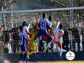 
<a style='margin-left: 5px;' class='btn btn-xs btn-social btn-facebook' href='https://www.facebook.com/sharer/sharer.php?u=https://www.boladovale.com.br/imgs/800-800-90/conteudo/fotos/1904/img7936.jpg' rel='popup' data-width='500' data-height='400'><i class='fa fa-facebook'></i>Compartilhar <span class='hidden-xs'>no Facebook</span>
</a> 
<a class='btn btn-default btn-xs' target='_blank' href='imgs/800-800-90/conteudo/fotos/1904/img7936.jpg'>
<span class='glyphicon glyphicon-cloud-download'></span> Salvar
</a> 
<span></span>