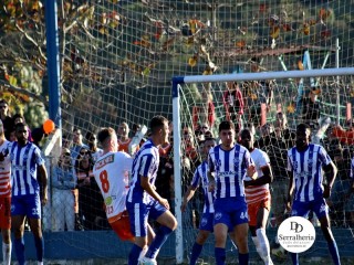 
<a style='margin-left: 5px;' class='btn btn-xs btn-social btn-facebook' href='https://www.facebook.com/sharer/sharer.php?u=https://www.boladovale.com.br/imgs/800-800-90/conteudo/fotos/1904/img8000.jpg' rel='popup' data-width='500' data-height='400'><i class='fa fa-facebook'></i>Compartilhar <span class='hidden-xs'>no Facebook</span>
</a> 
<a class='btn btn-default btn-xs' target='_blank' href='imgs/800-800-90/conteudo/fotos/1904/img8000.jpg'>
<span class='glyphicon glyphicon-cloud-download'></span> Salvar
</a> 
<span></span>