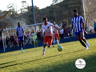 
<a style='margin-left: 5px;' class='btn btn-xs btn-social btn-facebook' href='https://www.facebook.com/sharer/sharer.php?u=https://www.boladovale.com.br/imgs/800-800-90/conteudo/fotos/1904/img8097.jpg' rel='popup' data-width='500' data-height='400'><i class='fa fa-facebook'></i>Compartilhar <span class='hidden-xs'>no Facebook</span>
</a> 
<a class='btn btn-default btn-xs' target='_blank' href='imgs/800-800-90/conteudo/fotos/1904/img8097.jpg'>
<span class='glyphicon glyphicon-cloud-download'></span> Salvar
</a> 
<span></span>