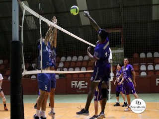 
<a style='margin-left: 5px;' class='btn btn-xs btn-social btn-facebook' href='https://www.facebook.com/sharer/sharer.php?u=https://www.boladovale.com.br/imgs/800-800-90/conteudo/fotos/1918/img0086.jpg' rel='popup' data-width='500' data-height='400'><i class='fa fa-facebook'></i>Compartilhar <span class='hidden-xs'>no Facebook</span>
</a> 
<a class='btn btn-default btn-xs' target='_blank' href='imgs/800-800-90/conteudo/fotos/1918/img0086.jpg'>
<span class='glyphicon glyphicon-cloud-download'></span> Salvar
</a> 
<span></span>