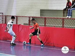 
<a style='margin-left: 5px;' class='btn btn-xs btn-social btn-facebook' href='https://www.facebook.com/sharer/sharer.php?u=https://www.boladovale.com.br/imgs/800-800-90/conteudo/fotos/1919/img0150.jpg' rel='popup' data-width='500' data-height='400'><i class='fa fa-facebook'></i>Compartilhar <span class='hidden-xs'>no Facebook</span>
</a> 
<a class='btn btn-default btn-xs' target='_blank' href='imgs/800-800-90/conteudo/fotos/1919/img0150.jpg'>
<span class='glyphicon glyphicon-cloud-download'></span> Salvar
</a> 
<span></span>