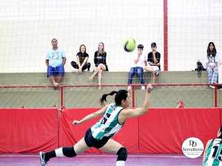 
<a style='margin-left: 5px;' class='btn btn-xs btn-social btn-facebook' href='https://www.facebook.com/sharer/sharer.php?u=https://www.boladovale.com.br/imgs/800-800-90/conteudo/fotos/1923/img0558.jpg' rel='popup' data-width='500' data-height='400'><i class='fa fa-facebook'></i>Compartilhar <span class='hidden-xs'>no Facebook</span>
</a> 
<a class='btn btn-default btn-xs' target='_blank' href='imgs/800-800-90/conteudo/fotos/1923/img0558.jpg'>
<span class='glyphicon glyphicon-cloud-download'></span> Salvar
</a> 
<span></span>