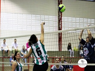
<a style='margin-left: 5px;' class='btn btn-xs btn-social btn-facebook' href='https://www.facebook.com/sharer/sharer.php?u=https://www.boladovale.com.br/imgs/800-800-90/conteudo/fotos/1923/img0673.jpg' rel='popup' data-width='500' data-height='400'><i class='fa fa-facebook'></i>Compartilhar <span class='hidden-xs'>no Facebook</span>
</a> 
<a class='btn btn-default btn-xs' target='_blank' href='imgs/800-800-90/conteudo/fotos/1923/img0673.jpg'>
<span class='glyphicon glyphicon-cloud-download'></span> Salvar
</a> 
<span></span>