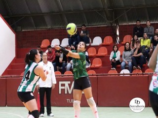 
<a style='margin-left: 5px;' class='btn btn-xs btn-social btn-facebook' href='https://www.facebook.com/sharer/sharer.php?u=https://www.boladovale.com.br/imgs/800-800-90/conteudo/fotos/1934/img2378.jpg' rel='popup' data-width='500' data-height='400'><i class='fa fa-facebook'></i>Compartilhar <span class='hidden-xs'>no Facebook</span>
</a> 
<a class='btn btn-default btn-xs' target='_blank' href='imgs/800-800-90/conteudo/fotos/1934/img2378.jpg'>
<span class='glyphicon glyphicon-cloud-download'></span> Salvar
</a> 
<span></span>