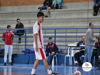 
<a style='margin-left: 5px;' class='btn btn-xs btn-social btn-facebook' href='https://www.facebook.com/sharer/sharer.php?u=https://www.boladovale.com.br/imgs/800-800-90/conteudo/fotos/1941/img3509.jpg' rel='popup' data-width='500' data-height='400'><i class='fa fa-facebook'></i>Compartilhar <span class='hidden-xs'>no Facebook</span>
</a> 
<a class='btn btn-default btn-xs' target='_blank' href='imgs/800-800-90/conteudo/fotos/1941/img3509.jpg'>
<span class='glyphicon glyphicon-cloud-download'></span> Salvar
</a> 
<span></span>