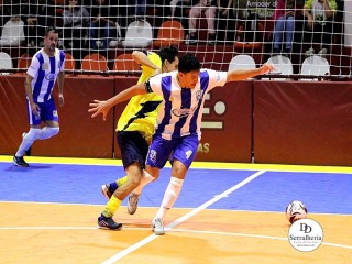 
<a style='margin-left: 5px;' class='btn btn-xs btn-social btn-facebook' href='https://www.facebook.com/sharer/sharer.php?u=https://www.boladovale.com.br/imgs/800-800-90/conteudo/fotos/1948/img4265.jpg' rel='popup' data-width='500' data-height='400'><i class='fa fa-facebook'></i>Compartilhar <span class='hidden-xs'>no Facebook</span>
</a> 
<a class='btn btn-default btn-xs' target='_blank' href='imgs/800-800-90/conteudo/fotos/1948/img4265.jpg'>
<span class='glyphicon glyphicon-cloud-download'></span> Salvar
</a> 
<span></span>