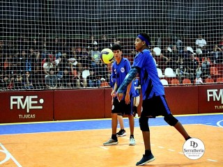 
<a style='margin-left: 5px;' class='btn btn-xs btn-social btn-facebook' href='https://www.facebook.com/sharer/sharer.php?u=https://www.boladovale.com.br/imgs/800-800-90/conteudo/fotos/2008/img2785.jpg' rel='popup' data-width='500' data-height='400'><i class='fa fa-facebook'></i>Compartilhar <span class='hidden-xs'>no Facebook</span>
</a> 
<a class='btn btn-default btn-xs' target='_blank' href='imgs/800-800-90/conteudo/fotos/2008/img2785.jpg'>
<span class='glyphicon glyphicon-cloud-download'></span> Salvar
</a> 
<span></span>